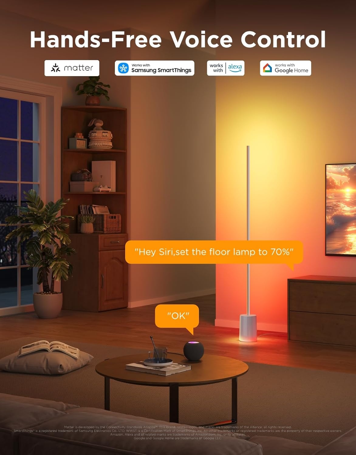 imageGovee Floor Lamp 2 RGBIC Warm Cool White LED Compatible with SmartThings Matter Alexa 1725lm Music Sync Scene Modes Smart Floor Lamp for Living Room Bedroom Black1 PackSilver