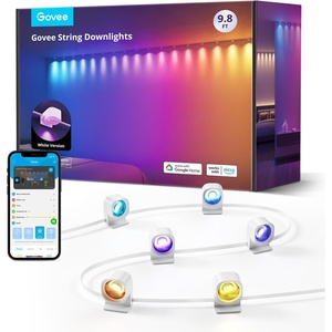 Govee RGBIC String Downlights, Smart LED String Lights Works with Alexa, Color Changing Indoor Wall Light Fixture for Party, Music Sync, 9.8ft with 15 LEDs, White(White)