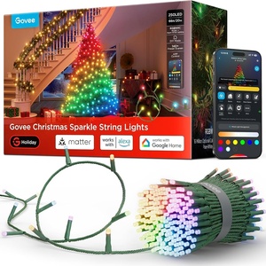 Govee Christmas Sparkle String Lights 66ft, RGBWIC String Lights with 250 Bullet-Head LEDs, App-Controlled, 140+ Scene Modes, 3D Shape Mapping, Works with SmartThings, Indoor Holiday Decorations(66ft)